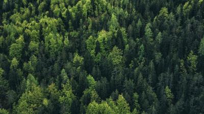 Trek Tr&auml;gershort Trek Velocis Bib Women XL Deep Dark Bl Produktbild 14