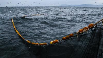 Trek Cage Trek Elite Ocean Recycled Plastic Matte Black Produktbild 3