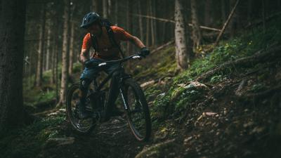 Trek Rail+ 9.7 EU L Slate Produktbild 4