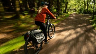 Trek Powerfly FS+ 4 EU L 29 Pennyflake/Black Olive Produktbild 10