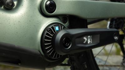 Trek FUEL+ MX 9.9X0AXS EU L Lichen Green/Keswick Green Produktbild 4