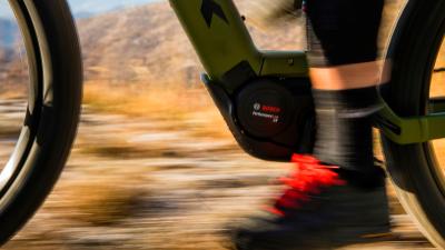 Trek PowerflyFS4 8EQEU L 29 Mercury/Dark Web Produktbild 2