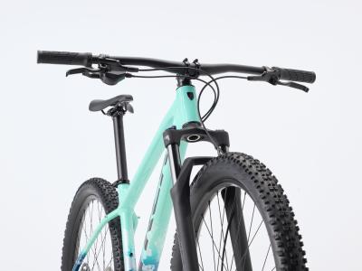 Trek Marlin 5 XL 29 Miami Green/Dark Aquatic Fade Produktbild 3