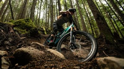 Trek Session 8 29 R3 Chameleon Green Produktbild 10