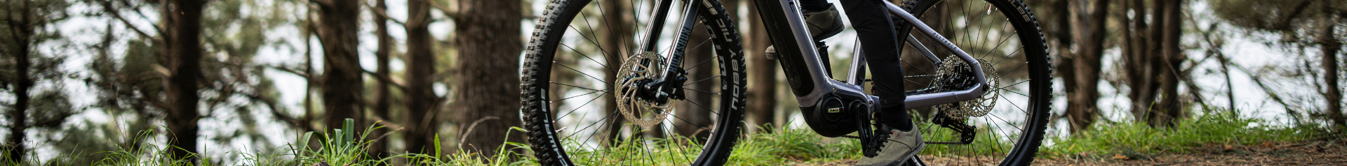  - Radel Bluschke Lingen