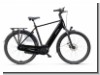 Batavus Finez E-go®Power Plus High 750 WH 5-G FL